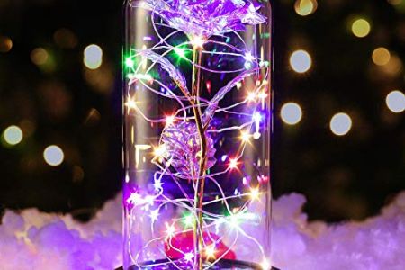 Vitrina bella y bestia