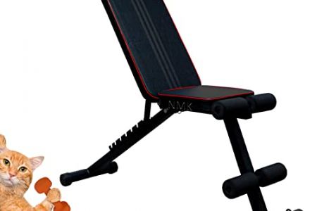 Bancos de musculacion