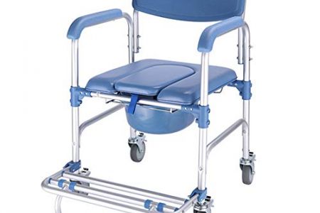 Silla inodoro ruedas